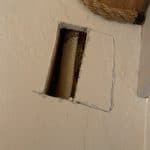 Beehive-in-the-wall-1 | Southern Pest Management Hive in the wall
