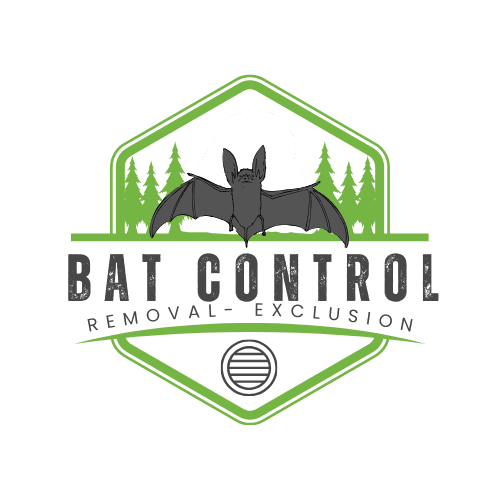 Milton Bat Control and Removal | Southern Pest Management A squirrel in a humane cage trap.