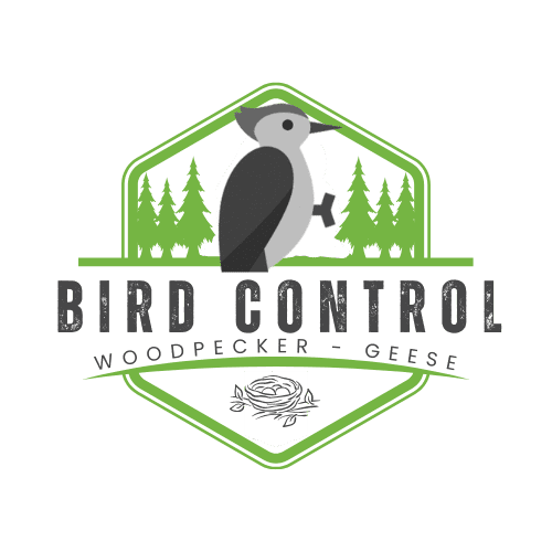 Milton Bird, Goose, Woodpecker Control | Southern Pest Management goose removal - goose control
