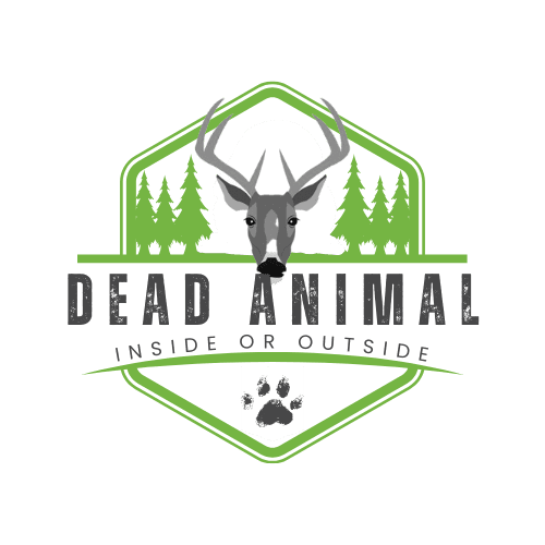 Duluth Dead Deer Removal | Southern Pest Management Duluth Dead Deer Removal