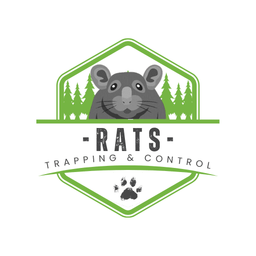Johns Creek Rat Trapping | Southern Pest Management Johns Creek Rat Trapping Services
