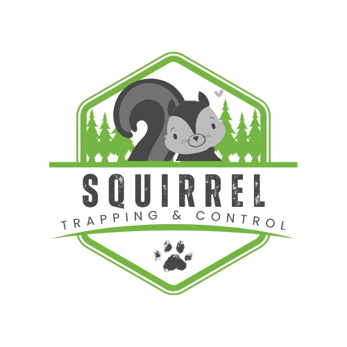 Milton Squirrel Trapping | Southern Pest Management A squirrel in a humane cage trap.