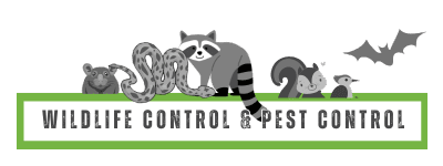 wildlife & Pest control