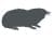 Mole Trapping - Mole Control - Mole Extermination Services