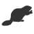 Beaver Trapping - Beaver Control - Beaver Extermination