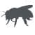 Carpenter Bee Control - Carpenter Bee Extermination