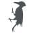 Woodpecker Control - Woodpecker Hazing - Goose Hazing Services