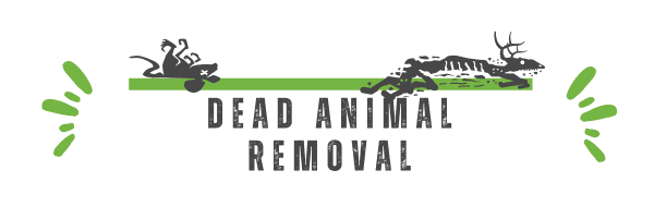 Dead Animal Removal - Carcass removal