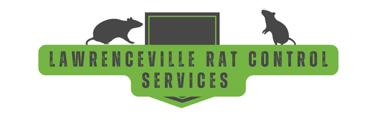 Lawrenceville Rat Control Services | Southern Pest Management