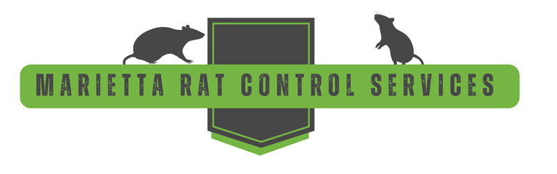 Marietta Rat Trapping Header | Southern Pest Management Marietta Rat Trapping - Marietta Rat Control - Rodent Prevention