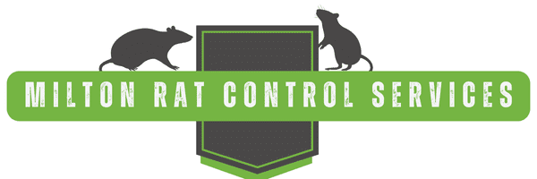Milton Rat Trapping - Rat Control Header
