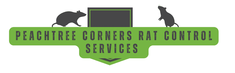 Peachtree Corners Rat Trapping - Rat Control Heading | Southern Pest Management Peachtree Corners Rat Trapping - Rat Control Services