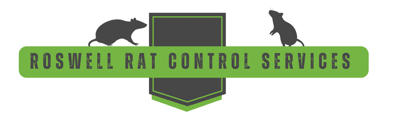Roswell Rat Trapping - Rat Control Header | Southern Pest Management Roswell Rat Trapping - rat Control Header