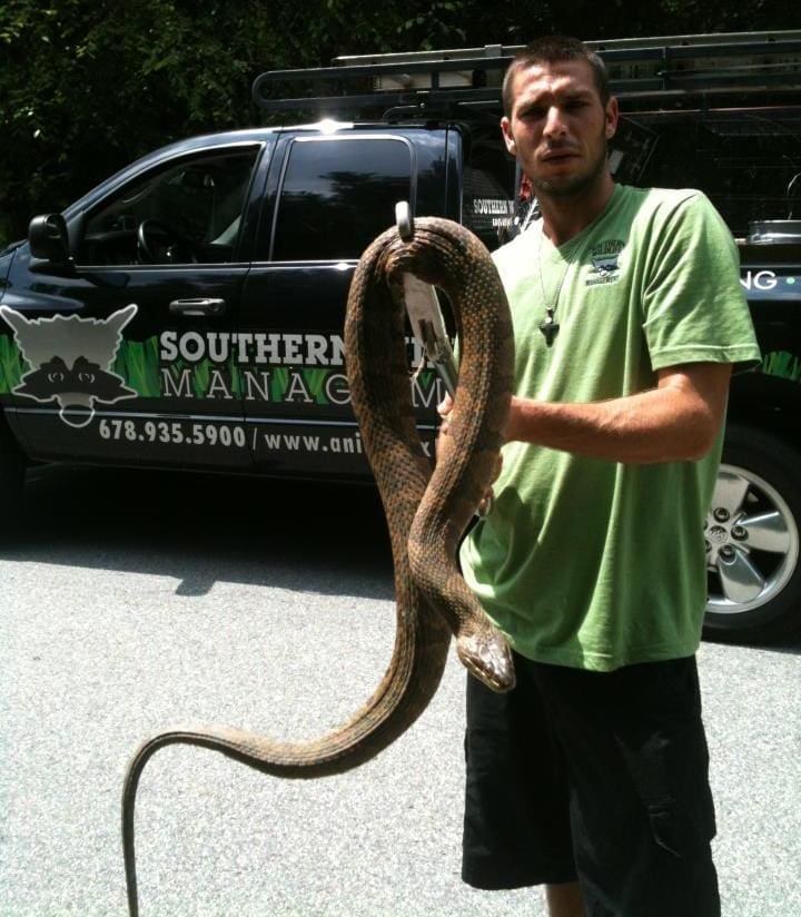 Snake Removal Johns Creek | Southern Pest Management Watersnake removal