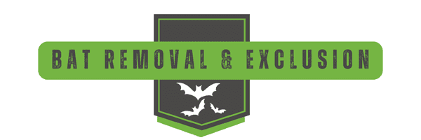 Bat Removal Control | Southern Pest Management Bat Removal - Bat Control - Bats in my attic