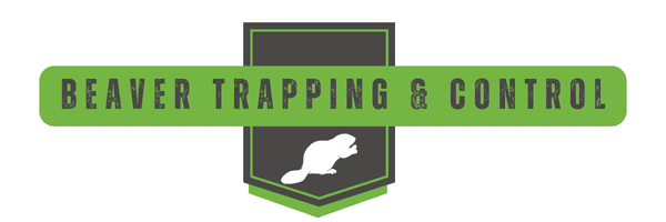 Beaver Trapping Heading | Southern Pest Management Beaver Trapping - Beaver Control