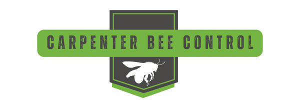 Carpenter Bee Control Heading | Southern Pest Management Carpenter Bee Control - Carpenter Bee Removal