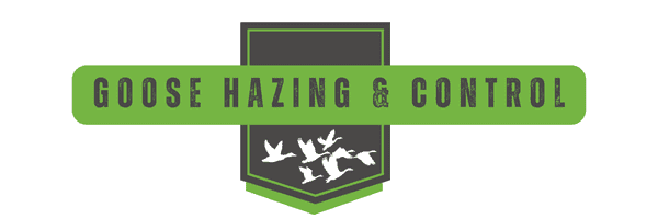 Goose Hazing Control Header | Southern Pest Management Goose Hazing - Goose Control - Goose Removal