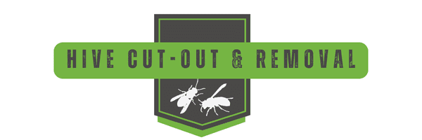 Hive Cutout Header | Southern Pest Management Hive cut-out & Hive Removal - Hornet Nest Removal