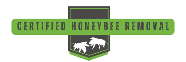 Honeybee Hive Removal | Southern Pest Management Honeybee Cutout - Honeybee Hive removal - Bee Hive Removal - Honey Bee Nest Removal