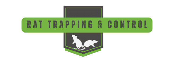 Rat Trapping Header2 | Southern Pest Management Rat Trapping - Rat Control