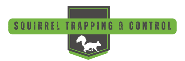 Squirrel Trapping - Squirrel Control
