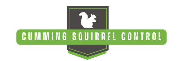 Cumming Squirrel Trapping & Squirrel Control