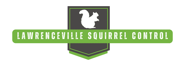 Lawrenceville Squirrel Trapping - Squirrel Control