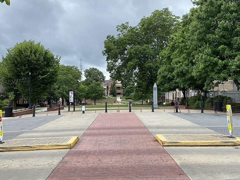 Duluth Georgia wildlife removal service area